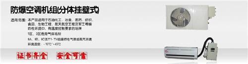 2p蓄電池室環(huán)保防爆空調圖片